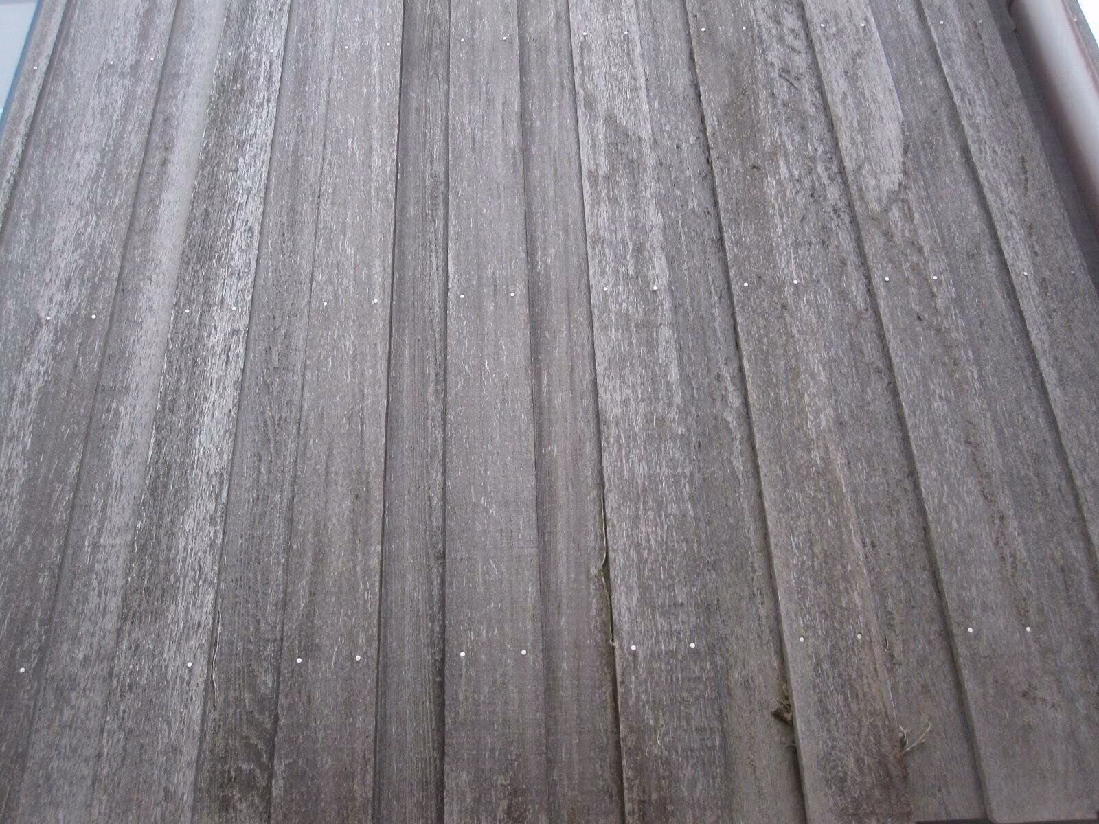 Douglasie-Fassadenholz-23x250mm