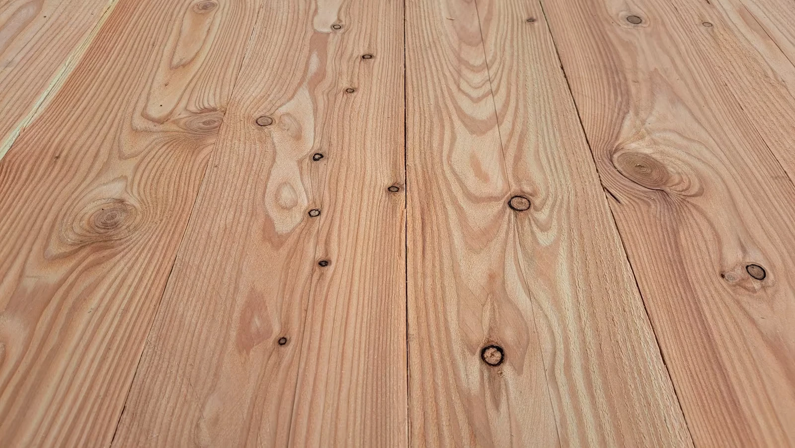 Laerche-Douglasie-Fassadenbretter-23x150mm