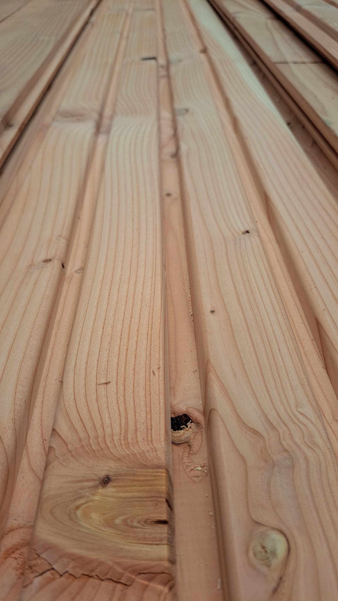 Douglasie-Profilholz-27x145mm