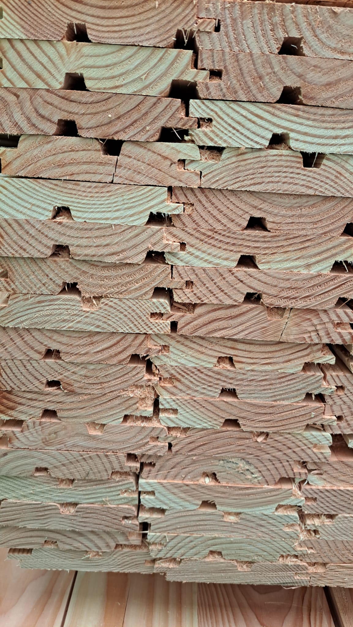 Douglasie-Profilholz-27x145mm