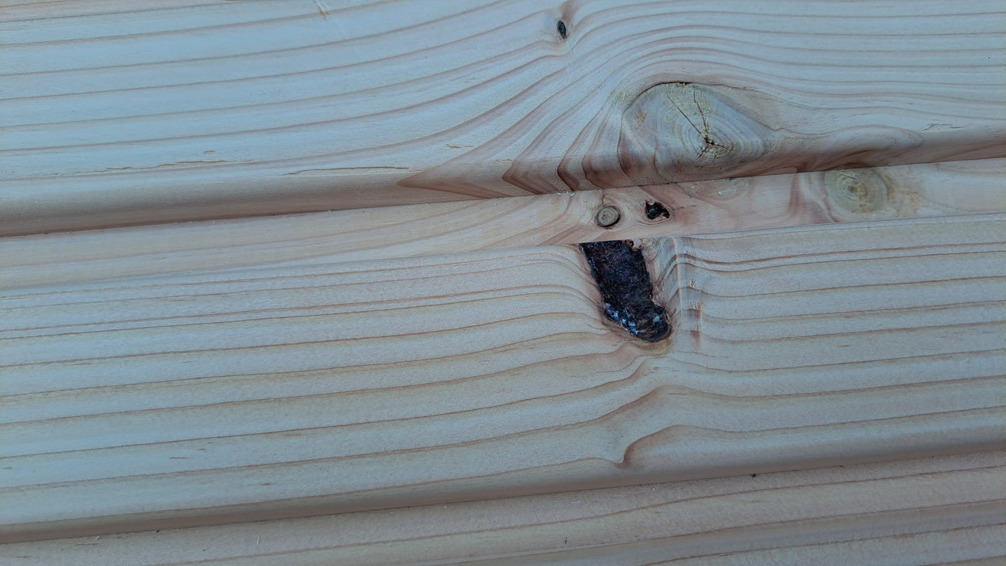 Douglasie-Profilholz-27x145mm