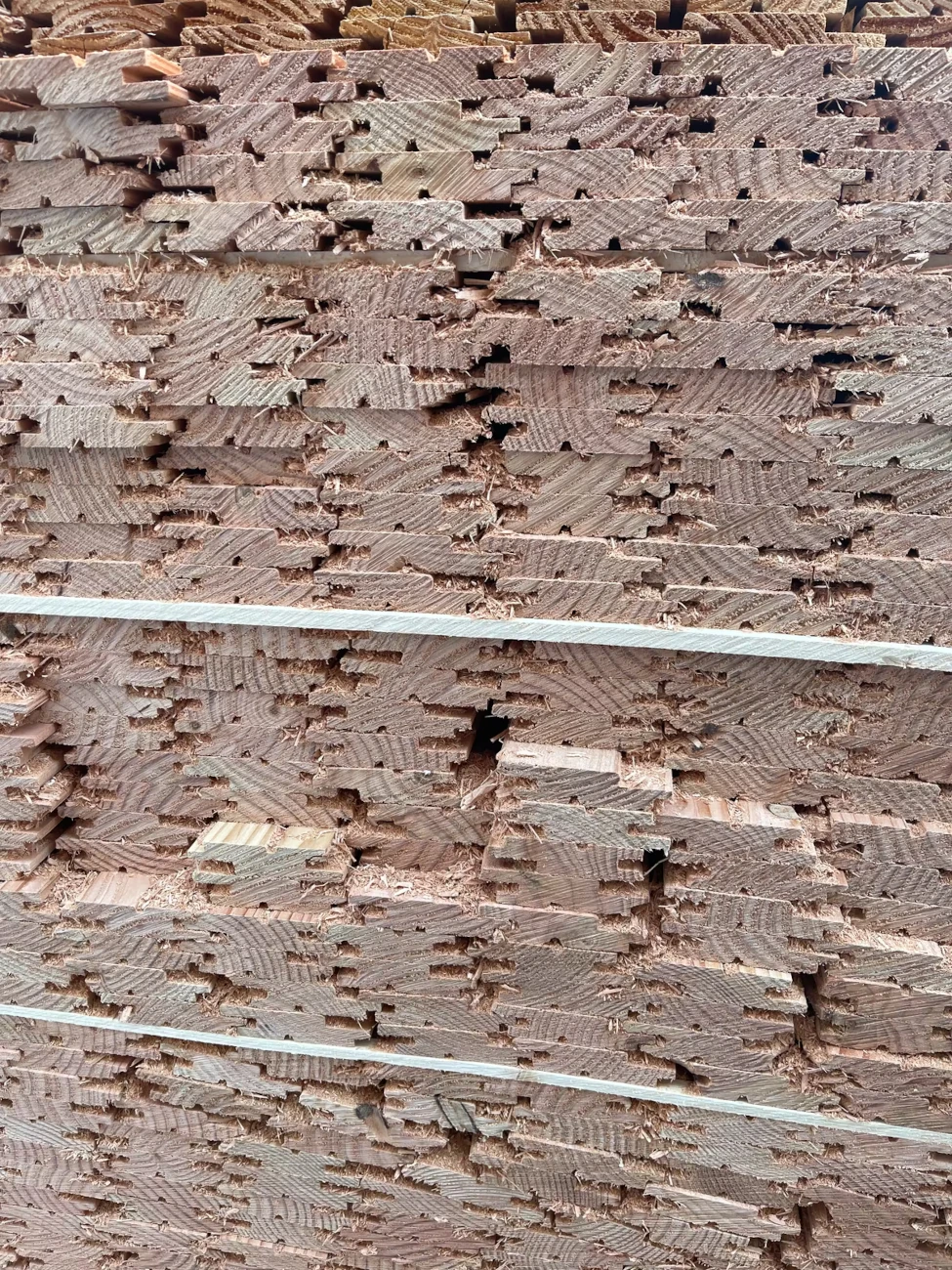 Douglasie-Profilholz-22x94mm