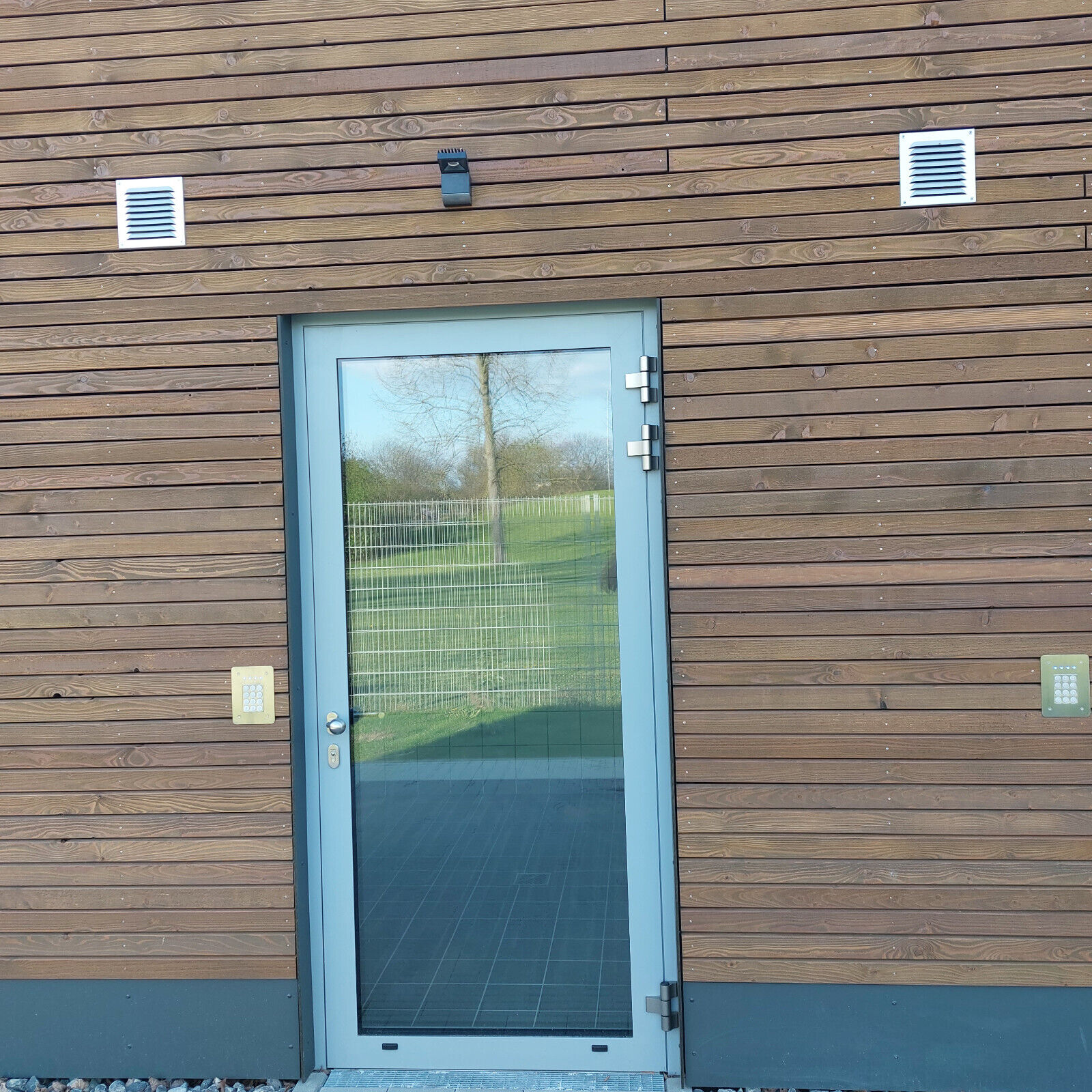 Sibirische Lärche Rhombus-Profilholz 