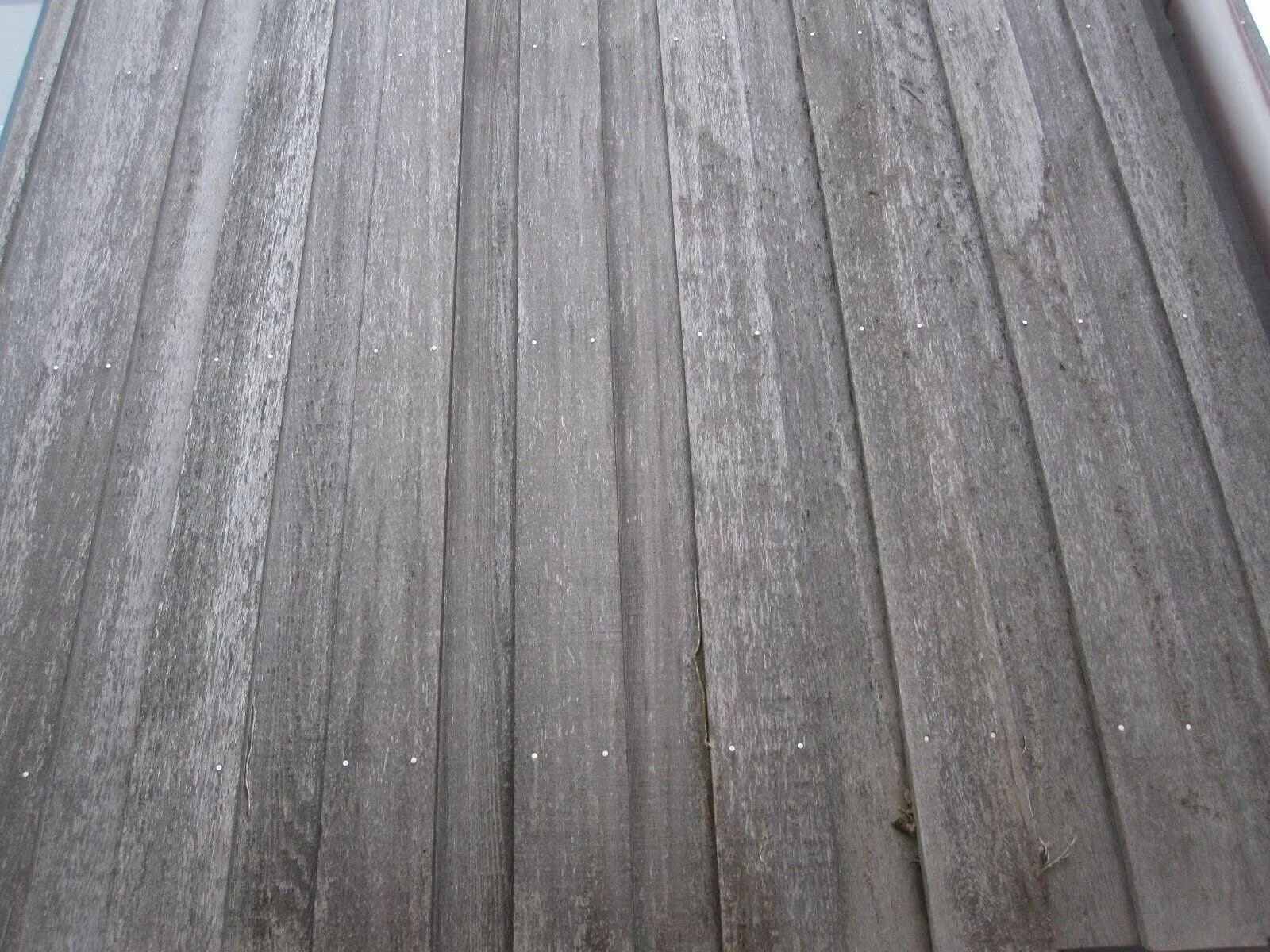 Laerche-Douglasie-Fassadenbretter-23x150mm